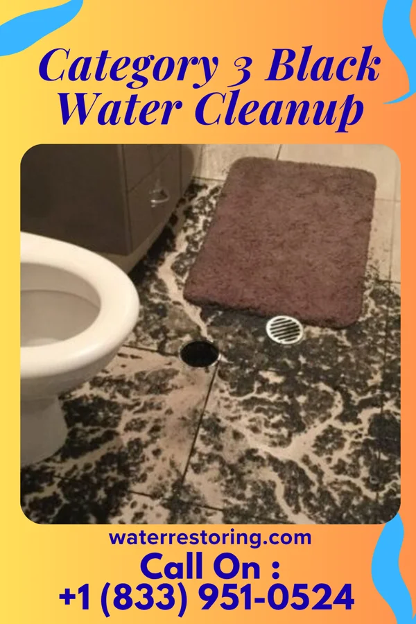 Category 3 Black Water Cleanup in Springfield, SD