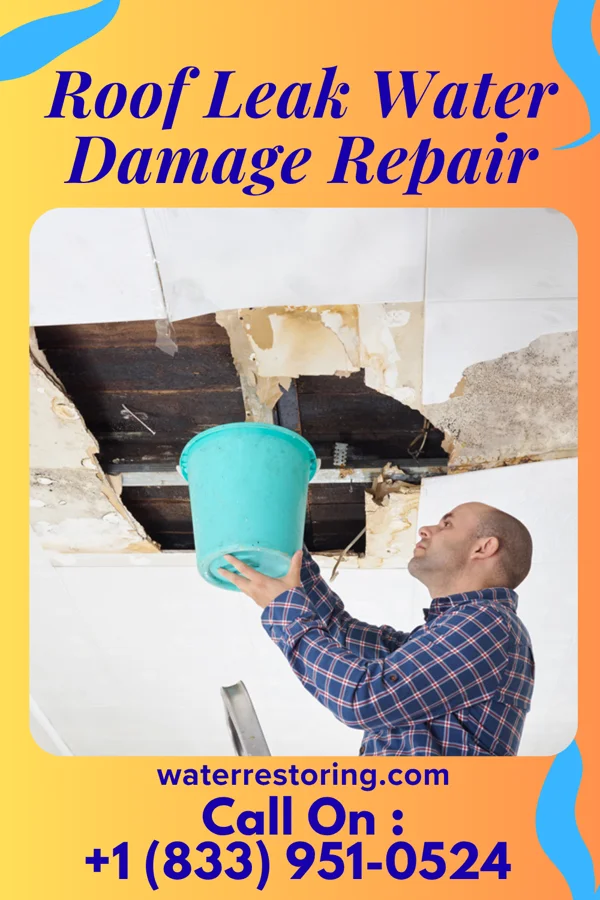 Roof Leak Water Damage Repair in Springfield, SD